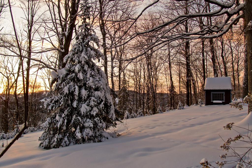 Le Petit Clocher Gite Touristique B & B Saint-Sauveur Экстерьер фото
