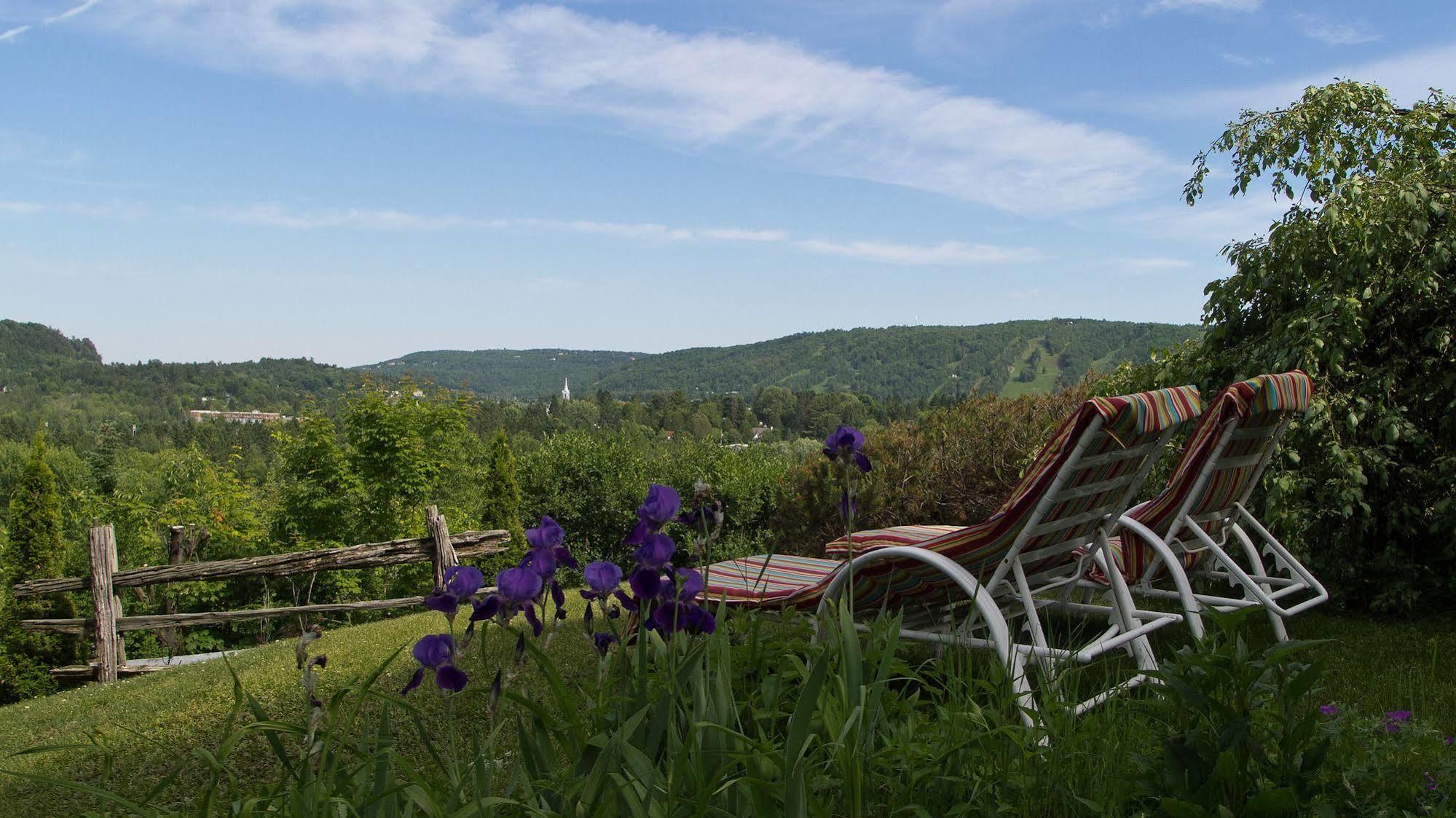 Le Petit Clocher Gite Touristique B & B Saint-Sauveur Экстерьер фото